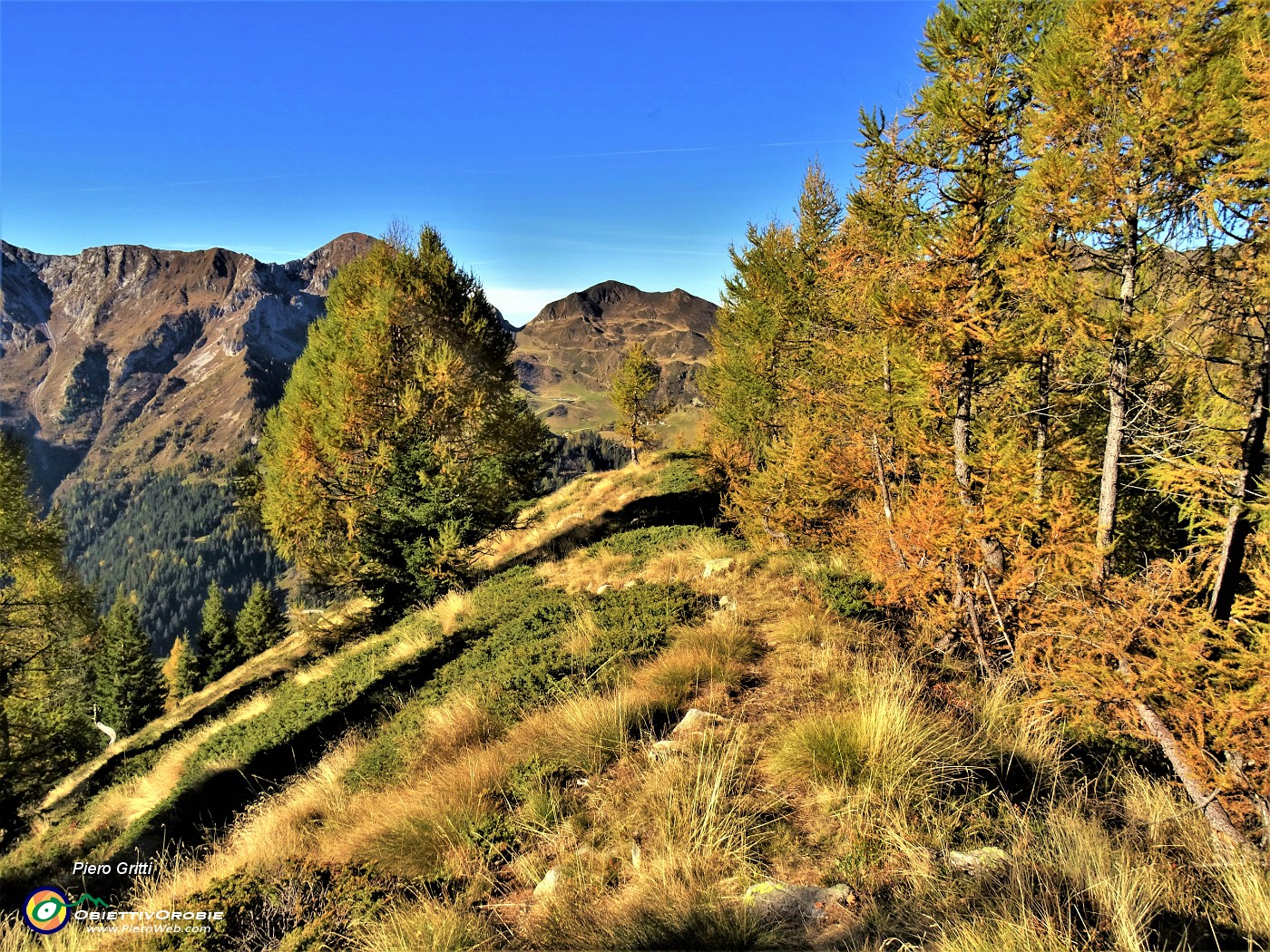 19 Percorriamo sentierino tra larici colorati d'autunno baciati dal sole.JPG